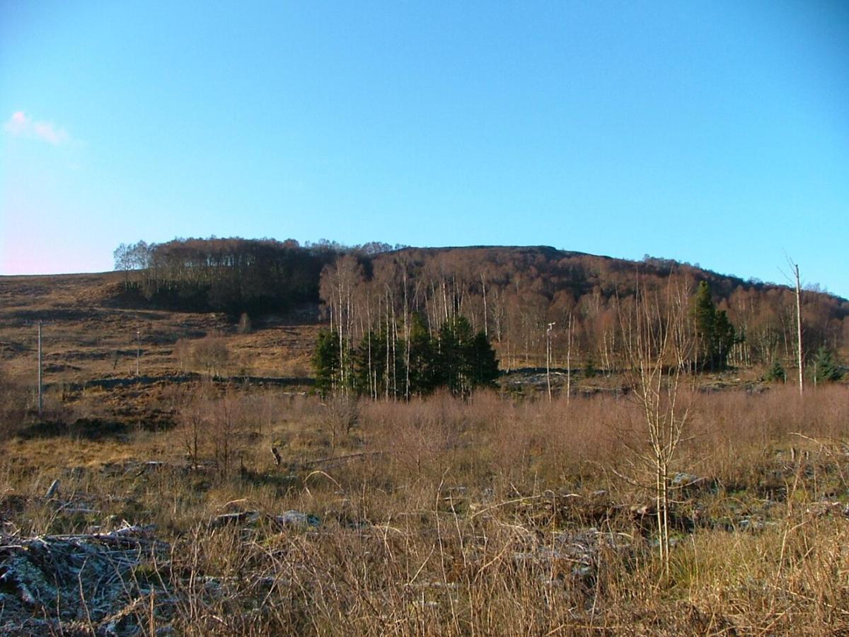 The Struan Inn Self Catering Lodge Экстерьер фото
